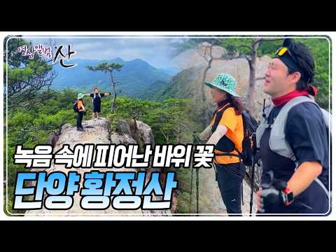 단양 황정산 편