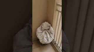 3 BHK Flat for Sale in Greater Noida West