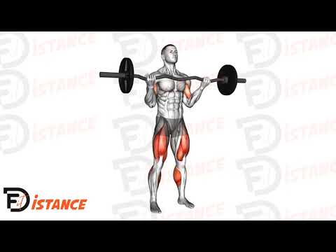 Exercice Soulevé de terre avec barre EZ et curl biceps