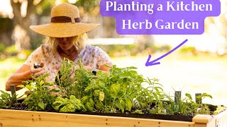 Planting a Kitchen Herb Garden In A Raised Bed