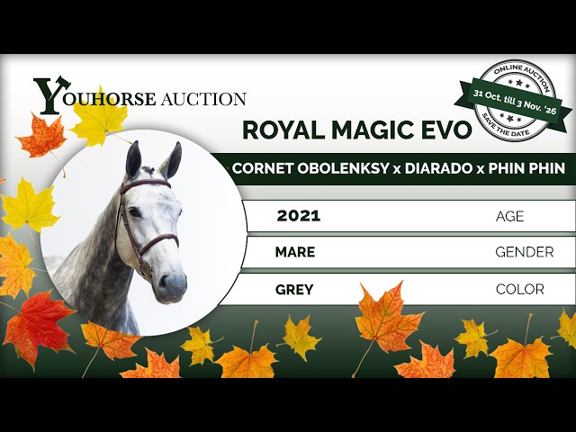 Royal Magic EVO
