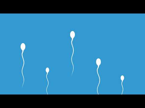 urine torbide e prostatite