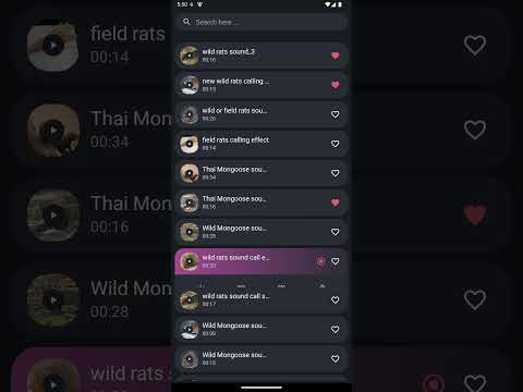 Mongoose and Bandicoot Sounds Video