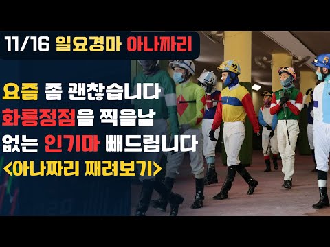 11/16 일요-윤택-경마 아나짜리 내용 엑기스만