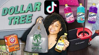 Testing 5 Viral TikTok Cleaning Hacks Using ONLY D