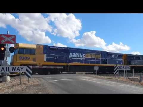 Gunnedah Coal Trains 9213, 9309 & 9214 with NB946