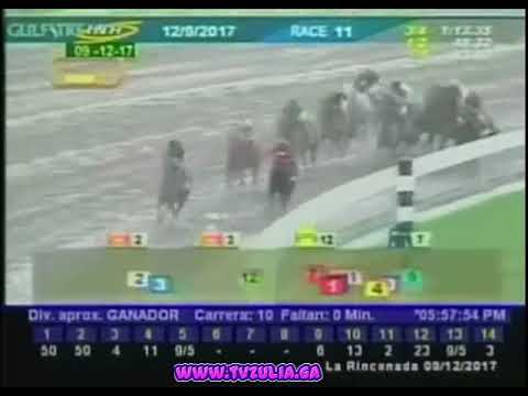 CLASICO DEL CARIBE 2017