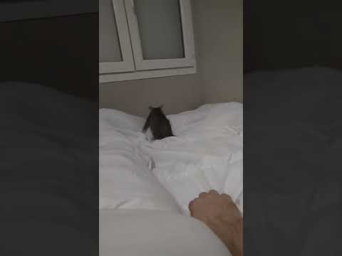 Yuko en mode petage de plombs  à 5h34 du mat  mdrrrr