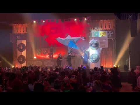 Rosa Sitzung 2020 - Eddas Zähmung der bösen Drachen