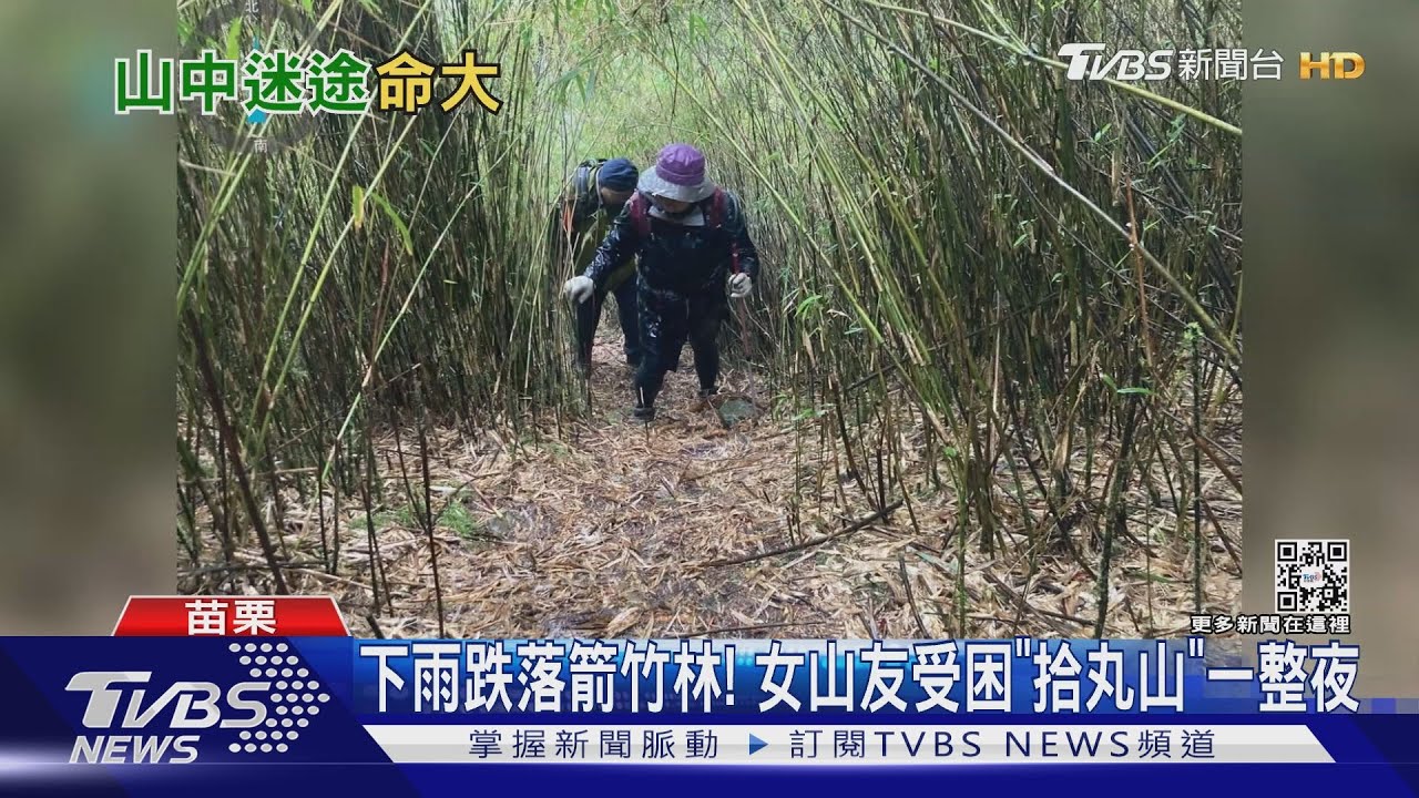 下雨跌落箭竹林! 女山友受困「拾丸山」一整夜