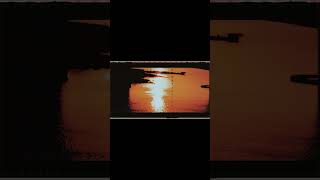 ヨルシカ LIVE TOUR 2025「盗作再演」盗作/創作セトリメドレー Guitar＆Basscover byフクレモ.  #盗作live  #キタニタツヤ【#盗作】【#ヨルシカ】【#盗作再演】