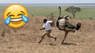 TENTE NÃO RIR 🤣 MELHORES MEMES E VIDEOS ENGRAÇADOS #8 #videosengraçados #memes #tentenaorir