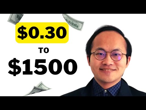 I Turned $0.33 into $1,521
