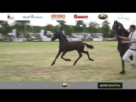 Kampioenschappen | Fokdag Ta it Bihâld | 23 Juli 2022