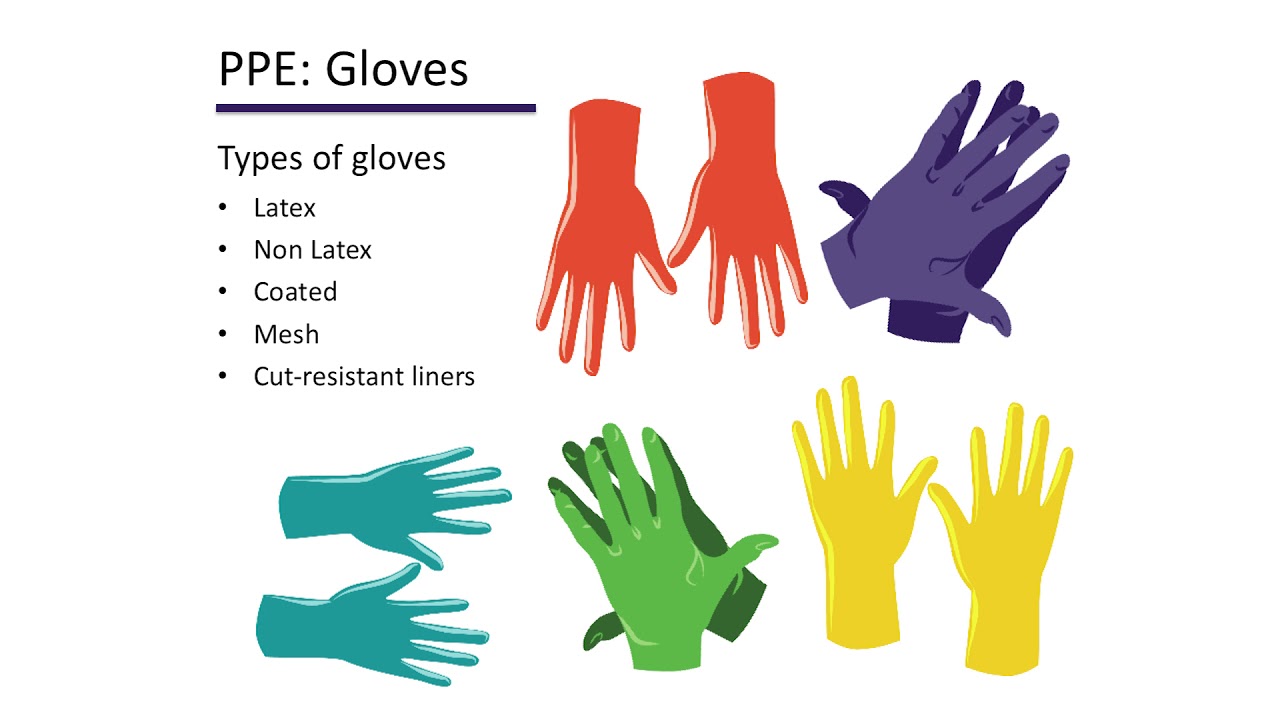 EVS Basic ICP Module 2