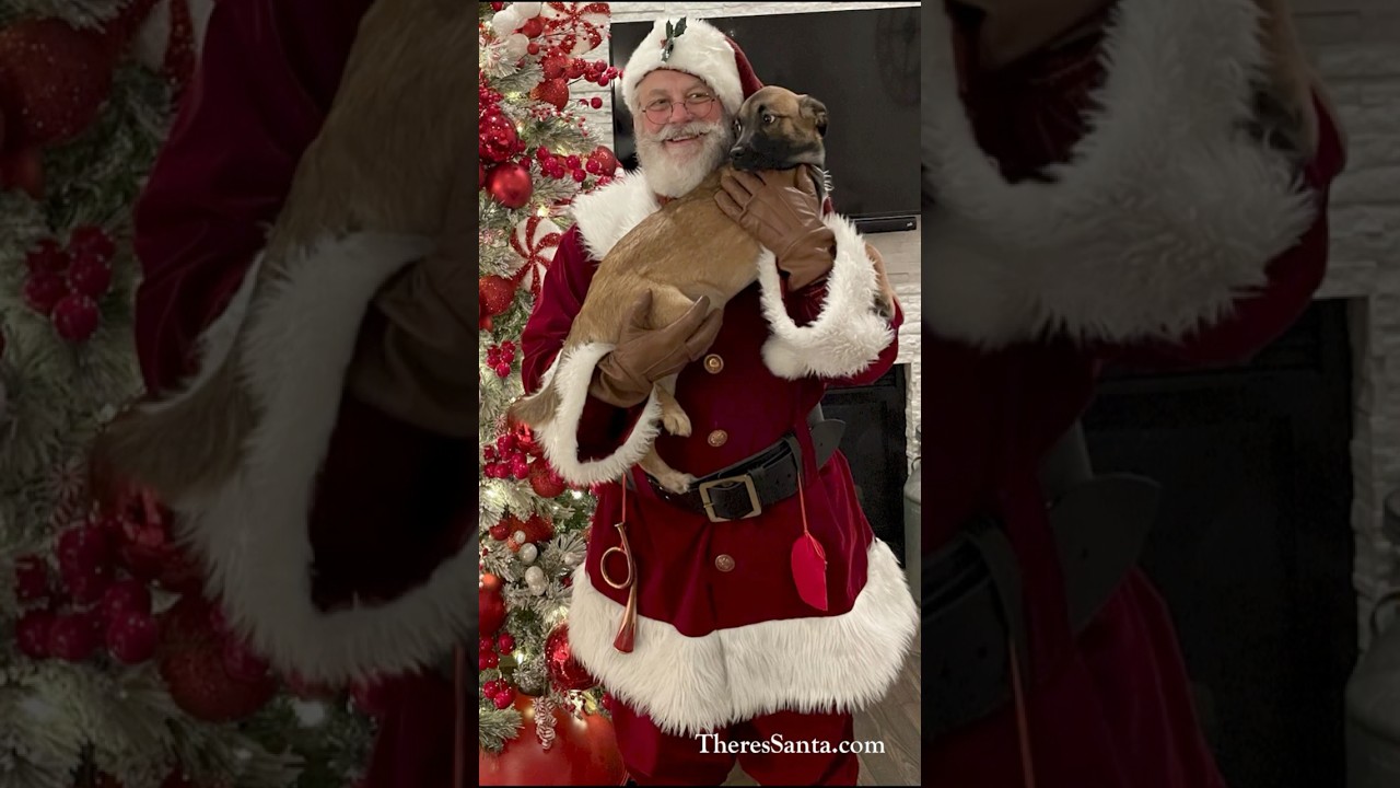 Promotional video thumbnail 2 for There's Santa!