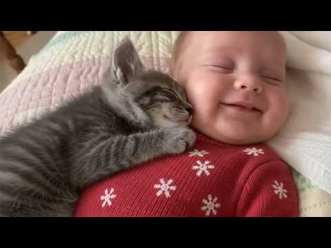When your kids grow up with a Cat and they do everything together 😺👶💞