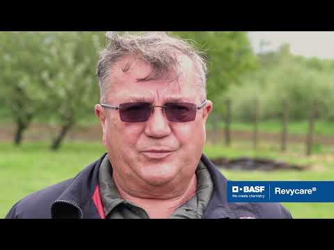 Revycare® – REVYLUCIONARNA ZAŠTITA ŽITARICA!