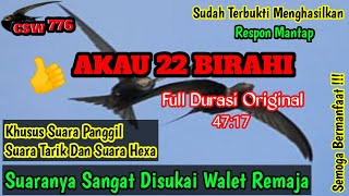 Download lagu SP AKAU 22 BIRAHI ORIGINAL By CSW776 - SWALLOW SOUND HAS BEEN PROVEN TO RESPOND IN ALL AREAS mp3 Download lagu SP AKAU 22 BIRAHI ORIGINAL By CSW776 - SWALLOW SOUND HAS BEEN PROVEN TO RESPOND IN ALL AREAS mp3