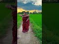 Viral Foryou Trending Viralvideo Reels Edit Reels Youtubeshorts Ytshorts India Love Cat