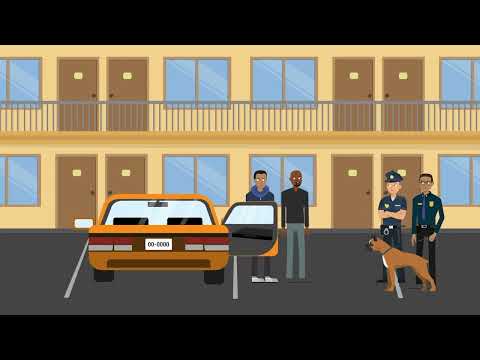 Ornelas v. United States Case Brief Summary | Law Case Explained