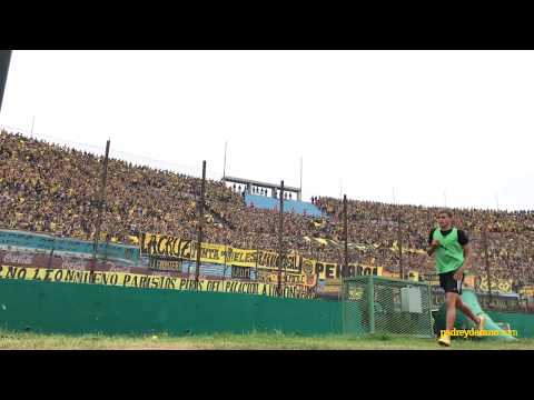 "â€œSe me ha perdido el corazónâ€ Peñarol 2 - Nacional 1 | BiCampeón Uruguayo" Barra: Barra Amsterdam • Club: Peñarol