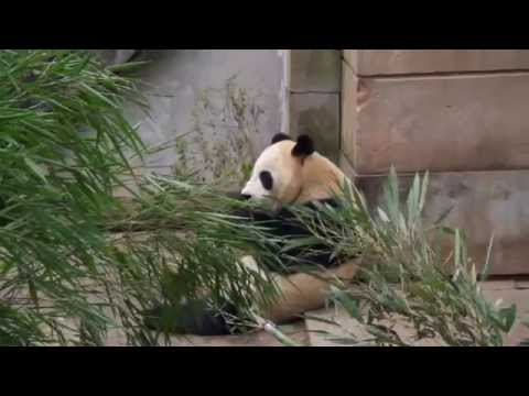 The Living Room - Season 4, Episode 2