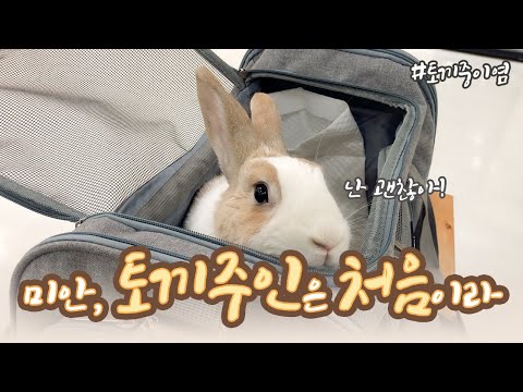 , title : '🐰 토끼 키우기 🐰 미안해, 토끼 주인은 처음이라. 정확한 진단은 반드시 전문 수의사에게 받으세요! (Feat.아크리스동물의료센터)'