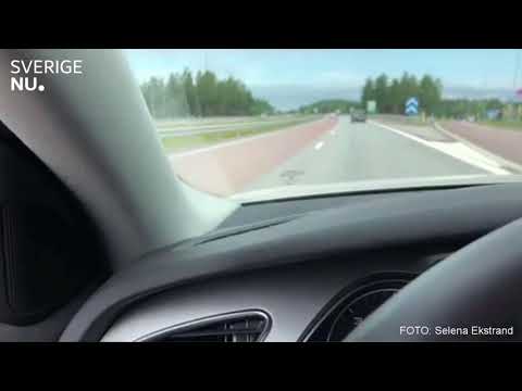 Två lösa hästar 🐎 sprang mot trafiken på E4:an