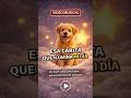 DISPONIBLE "Esa carita" #esacarita