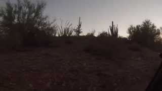 preview picture of video 'Day of the Dead, Behind A Mountain, Ajo, Arizona, 2 November 2014, Alley Rd to Darby Wells, GOPR0108'