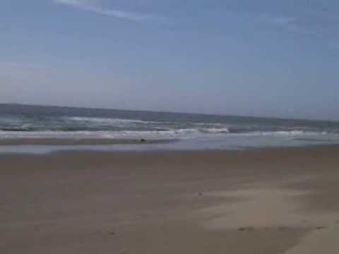 den haag day at the beach.avi