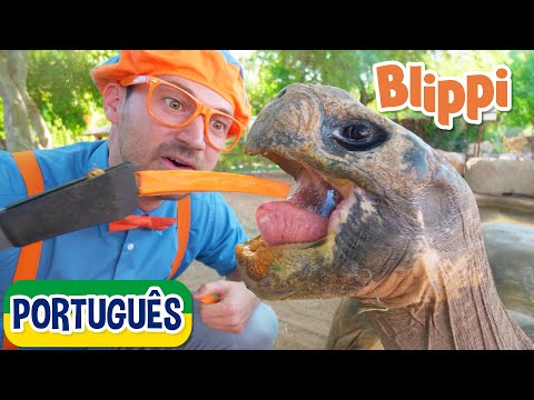 Blippi Visita um Zoológico | Vídeos Educativos para Crianças | As Aventuras de Blippi