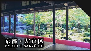 京都左京区の秋の風吹く神社仏閣3選 l The beginning of autumn in Kyoto【Kyoto Sakyo】