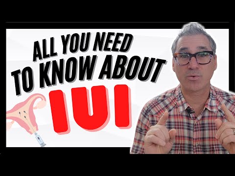Getting Pregnant with IUI: Everything you need to know (tips from a Fertility Doctor)