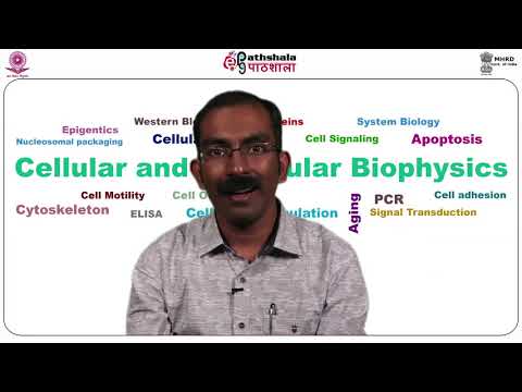 M-12. Molecular mechanism of cell differentiation and cell fates
