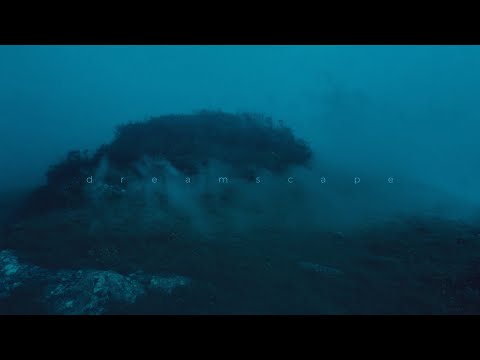 .diedlonely, etsu - you're not the same