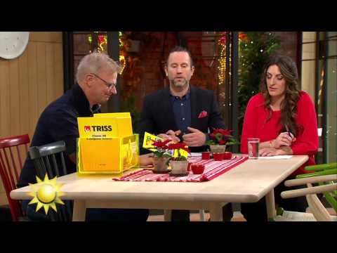 ”Köpte trisslotten på lunchen när jag glömt matlådan”  - Nyhetsmorgon (TV4)