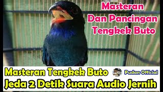 Download lagu MASTERAN BURUNG TENGKEK BUTO JEDA 2 DETIK AUDIO JERNIH - PANCINGAN TENGKEK BUTO mp3 Download lagu MASTERAN BURUNG TENGKEK BUTO JEDA 2 DETIK AUDIO JERNIH - PANCINGAN TENGKEK BUTO mp3