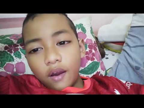 โปรฟีฟาย