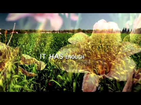 Mincha Moment 17 -  Enough & Not Enough