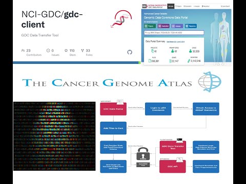GDC Data Transfer Tool