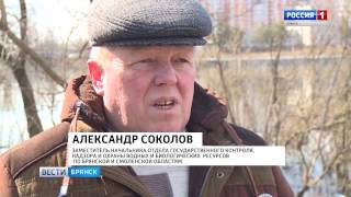 Журиничи рыбалка брянская область