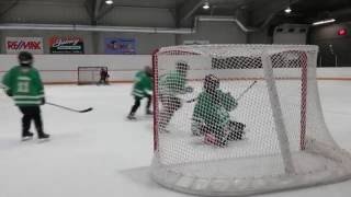 Aesop - Rock Supercell