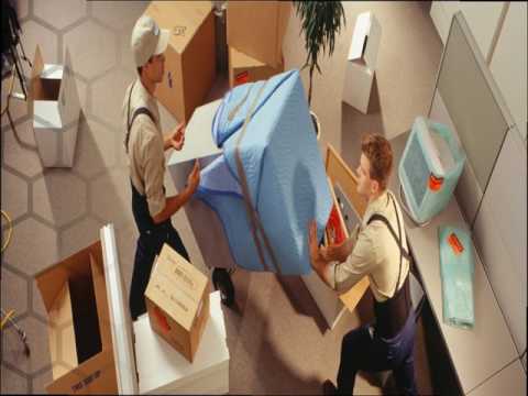 download lagu mp3 mp4 Cronulla Removals, download mp3 Cronulla Removals free download, download mp3 Cronulla Removals