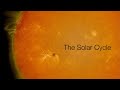 The Solar Cycle