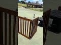 No Shadows - The Lahaina Noon Phenomenon