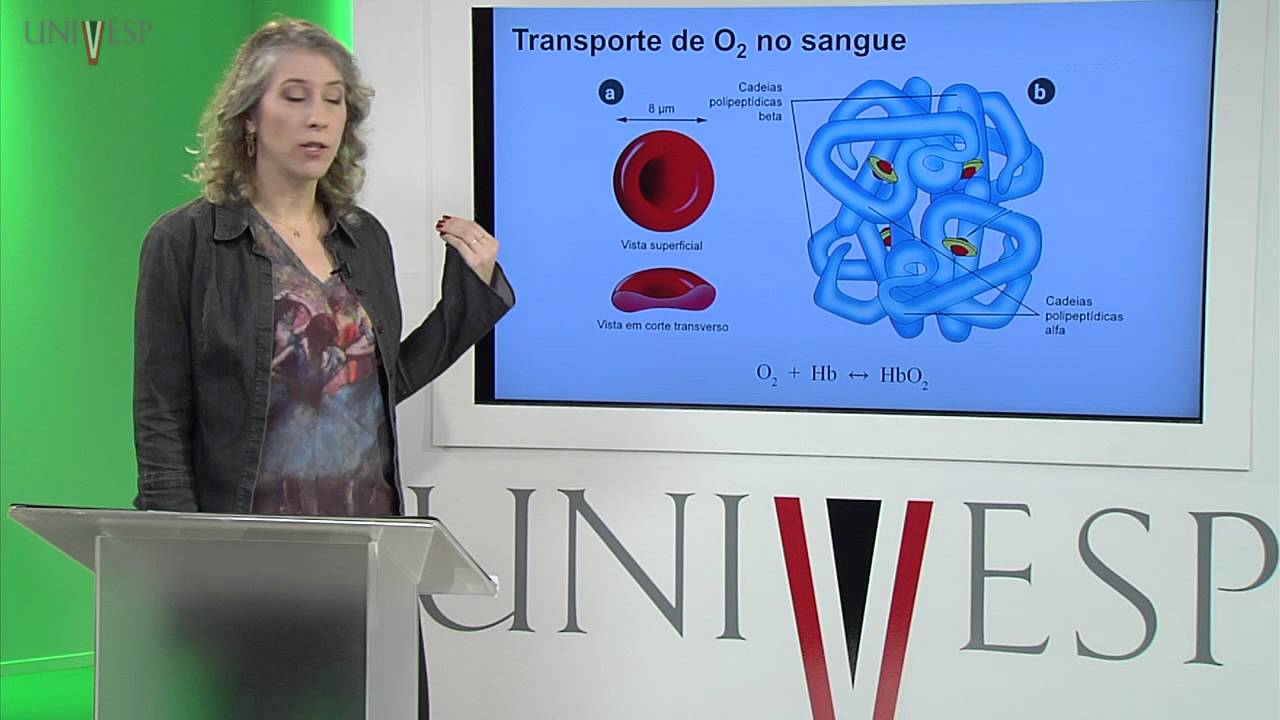 Corpo Humano: Órgãos e Sistemas - Aula 14 - Transporte de Gases e Controle da Ventilação