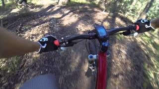 Bunya XC MTB Tracks 160613   Steps  the crew coming down the final part