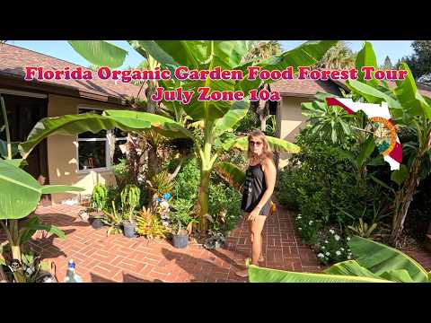 Florida Organic Edible / Tropical Garden Food Forest Tour | July Zone 10a